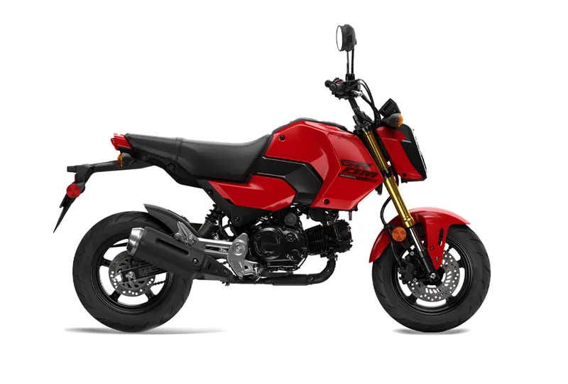2026 GROM